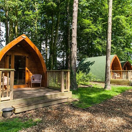 Pinewood - At Port Lympne Reserve Hythe  Exterior foto